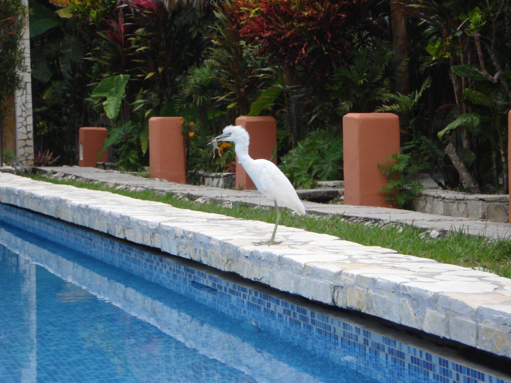 Hotel Jaguar Inn Tikal Exteriér fotografie