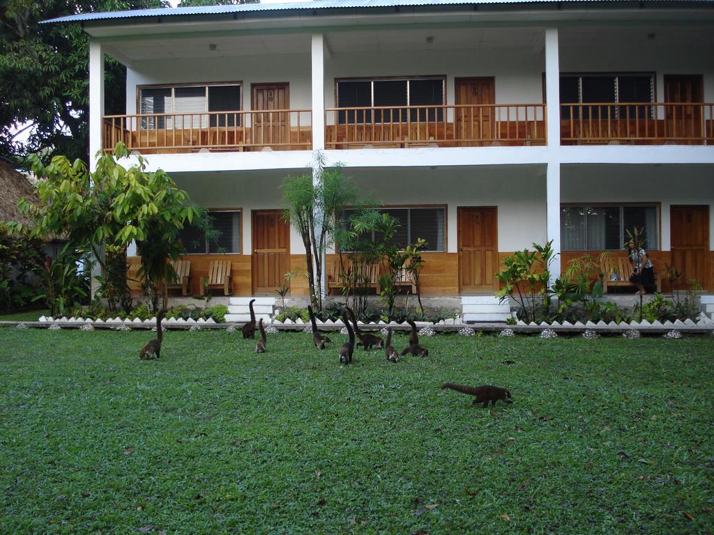 Hotel Jaguar Inn Tikal Pokoj fotografie